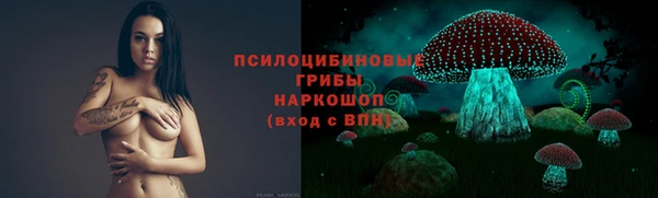 соль ск Карпинск