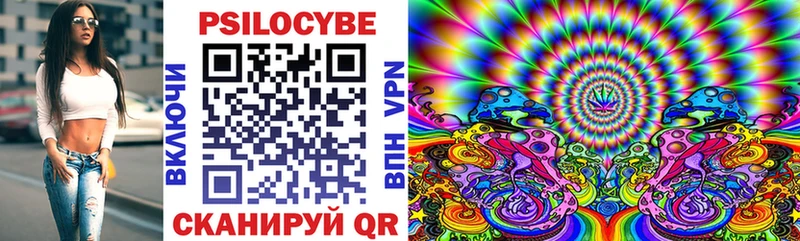 Купить  Петухово  Псилоцибиновые грибы Magic Shrooms 